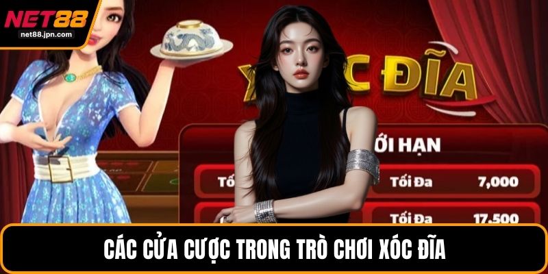 Các cửa cược trong trò chơi xóc đĩa