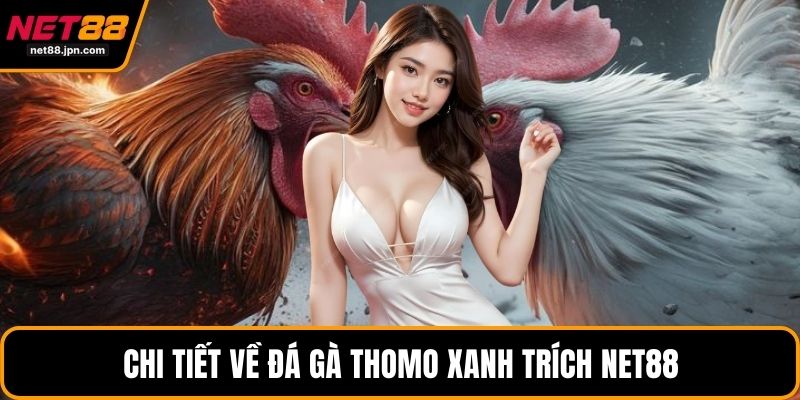 Chi tiết về đá gà Thomo xanh trích NET88