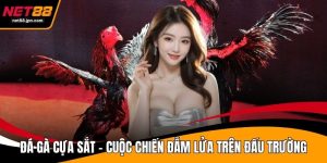 Đá Gà Cựa Sắt