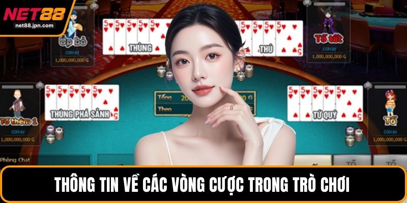Thông tin về các vòng cược trong trò chơi